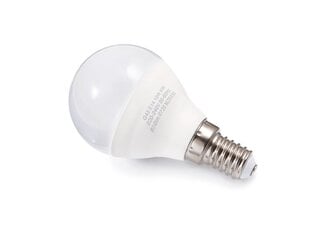 LED lemputė E14 10W G45 - neutrali balta (4500K) kaina ir informacija | Elektros lemputės | pigu.lt