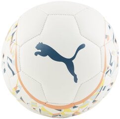 Puma Мячи Neymar Jr White Colored 084233 01 084233 01/1 цена и информация | Футбольные мячи | pigu.lt