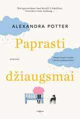 Paprasti džiaugsmai kaina ir informacija | Romanai | pigu.lt