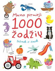 Mano pirmieji 1000 žodžių. Sužinok ir išmok цена и информация | Развивающие книги | pigu.lt