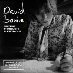 Vinilinė plokštelė David Bowie Spying Through A Keyhole kaina ir informacija | Vinilinės plokštelės, CD, DVD | pigu.lt