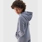 Džemperis berniukams 4F JWSS24TSWSM092634S, pilkas kaina ir informacija | Megztiniai, bluzonai, švarkai berniukams | pigu.lt