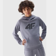 Bluzonas berniukams 4F, pilkas kaina ir informacija | Megztiniai, bluzonai, švarkai berniukams | pigu.lt