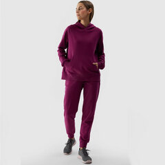 Džemperis moterims 4F 4FWSS24TSWSF095551S, violetinis kaina ir informacija | Džemperiai moterims | pigu.lt
