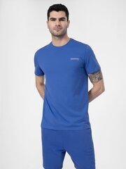 Marškinėliai vyrams 4F 4FSS23TTSHM359-36S, mėlyni цена и информация | Мужские футболки | pigu.lt