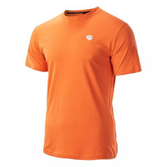 Marškinėliai vyrams 92800483318, oranžiniai kaina ir informacija | Vyriški marškinėliai | pigu.lt