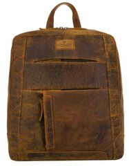 Рюкзак Петерсон S132 цена и информация | Мужские сумки | pigu.lt