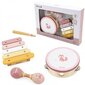 Muzikos instrumentų rinkinys Viga PolarB, rožinis, 3 d. kaina ir informacija | Lavinamieji žaislai | pigu.lt