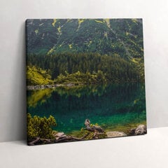 Tapyba Ant Drobės Morskie Oko Tatrų kalnuose, 60x60 kaina ir informacija | Reprodukcijos, paveikslai | pigu.lt