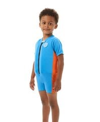 Детский жилет с рукавами Speedo цена и информация | Нарукавники, жилеты для плавания | pigu.lt