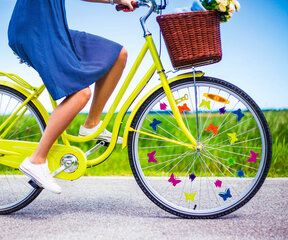 Žuvų ir drugelių rinkinys dviračio stipinams Alinco, įvairių spalvų kaina ir informacija | Kiti dviračių priedai ir aksesuarai | pigu.lt