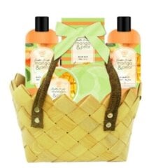 Kosmetikos rinkinys Aurora Mango & Pear: dušo želė, 300 ml + šampūnas, 300 ml + muilas, 100 g + kūno kremas, 50 ml + kūno kempinė + krepšys kaina ir informacija | Kūno kremai, losjonai | pigu.lt