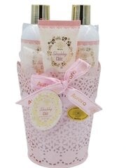 Kūno priežiūros rinkinys Aurora Shabby Chic: Dušo želė 200 ml + kūno losjonas 200 ml + rankų kremas 60 ml + dušo kempinė 1 vnt. kaina ir informacija | Kūno kremai, losjonai | pigu.lt