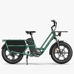 Электровелосипед Fiido T2, 20", зеленый цена и информация | Электровелосипеды | pigu.lt