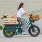 Elektrinis dviratis Fiido T2, 20", pilkas kaina ir informacija | Elektriniai dviračiai | pigu.lt