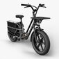 Elektrinis dviratis Fiido T2, 20", pilkas цена и информация | Elektriniai dviračiai | pigu.lt