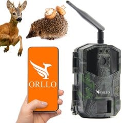 Miško kamera foto gaudyklė Orllo Huntercam 3 GSM цена и информация | Камеры видеонаблюдения | pigu.lt