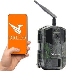 Miško kamera foto gaudyklė Orllo Huntercam 3 GSM kaina ir informacija | Stebėjimo kameros | pigu.lt