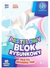 Пастельный Блок Для Рисования 80 г/м² A4, 10 листов цена и информация | Тетради и бумажные товары | pigu.lt