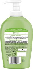 Skystas muilas Fa Hygiene Fresh, 250 ml kaina ir informacija | Muilai | pigu.lt