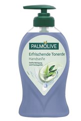 Skystas rankų muilas Palmolive, 250 ml kaina ir informacija | Muilai | pigu.lt