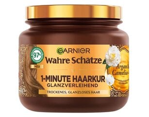 Plaukų kaukė su argano aliejumi Garnier, 340 ml kaina ir informacija | Priemonės plaukų stiprinimui | pigu.lt