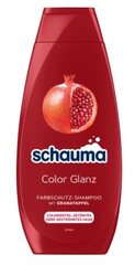 Šampūnas Schauma Color Glanz, 400 ml kaina ir informacija | Šampūnai | pigu.lt