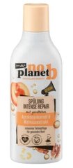 Plaukų kondicionierius No Planet B, 300 ml цена и информация | Бальзамы, кондиционеры | pigu.lt