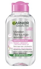 Micelinis vanduo Garnier SkinActive, 100 ml kaina ir informacija | Veido prausikliai, valikliai | pigu.lt