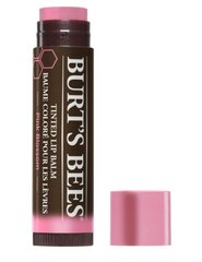 Lūpų balzamas Burt's Bees Tinted Lip Balm Pink Blossom, 4g kaina ir informacija | Lūpų dažai, blizgiai, balzamai, vazelinai | pigu.lt