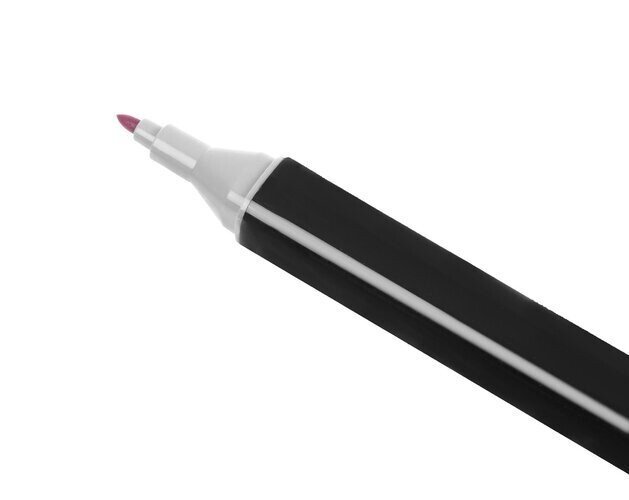Dvipusiai markeriai-flomasteriai InspiraPens, 120 vnt цена и информация | Piešimo, tapybos, lipdymo reikmenys | pigu.lt
