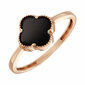 Auksinis žiedas su oniksu Brasco 49028 49028-19 kaina ir informacija | Žiedai | pigu.lt