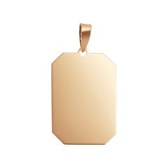 Золотая подвеска Brasco 58248 58248 цена и информация | Украшения на шею | pigu.lt