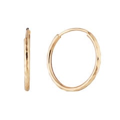 Auksiniai auskarai Brasco 58506 kaina ir informacija | Auskarai | pigu.lt