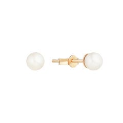 Auksiniai auskarai su perlais Brasco 58525 kaina ir informacija | Auskarai | pigu.lt