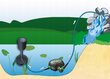 Tvenkinio siurblys Aqua Nova NFPX-20000 цена и информация | Sodo baseinai ir jų priežiūros priemonės | pigu.lt