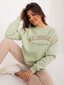 Džemperis moterims, žalias цена и информация | Džemperiai moterims | pigu.lt