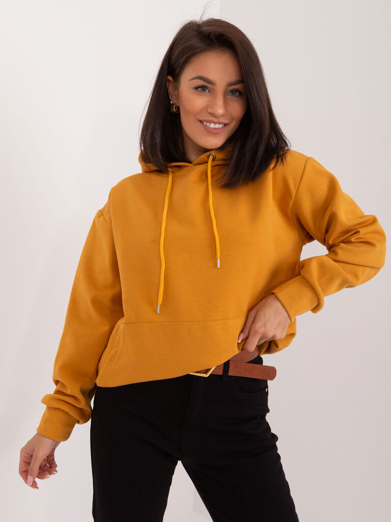 Džemperis moterims, geltonas цена и информация | Džemperiai moterims | pigu.lt
