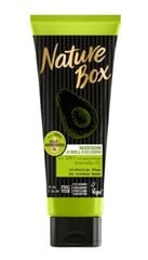 Rankų kremas Nature Box, su avokado aliejumi, 75 ml kaina ir informacija | Kūno kremai, losjonai | pigu.lt