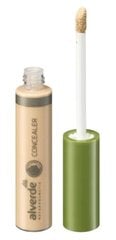 Maskuoklis Alverde Concealer Porcelain 02, 9 ml цена и информация | Пудры, базы под макияж | pigu.lt