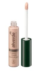 Maskuoklis Alverde Concealer Professional Perfect Cover 01 Sand, 9 ml цена и информация | Пудры, базы под макияж | pigu.lt