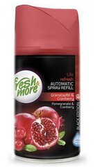 Fresh & More Pomegranate & Cranberry oro gaiviklis, 250 ml цена и информация | Освежители воздуха | pigu.lt