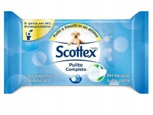 Drėgnos servetėlės Scottex Fresh, 40 vnt. kaina ir informacija | Drėgnos servetėlės, paklotai | pigu.lt