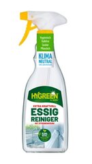 Surig Hygreen kalkių valiklis, 500 ml kaina ir informacija | Valikliai | pigu.lt