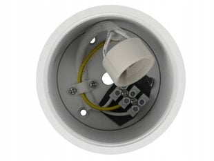 Led-lux lubinis šviestuvas AL-613 kaina ir informacija | Lubiniai šviestuvai | pigu.lt
