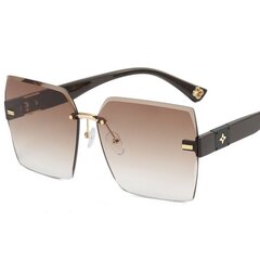 Солнцезащитные очки женские, коричневые цена и информация | Женские солнцезащитные очки, неоновые розовые | pigu.lt
