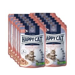 Happy Cat AtlantikLachs suaugusioms katėms su lašiša, 10x85 g kaina ir informacija | Konservai katėms | pigu.lt