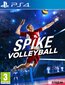 Spike Volleyball цена и информация | Kompiuteriniai žaidimai | pigu.lt