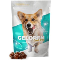 Papildas šunims Geloren Small Dog, 60 vnt. kaina ir informacija | Vitaminai, papildai, antiparazitinės priemonės šunims | pigu.lt