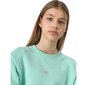 Džemperis mergaitėms 4F JWSS24TSWSF092047S, mėlynas kaina ir informacija | Megztiniai, bluzonai, švarkai mergaitėms | pigu.lt
